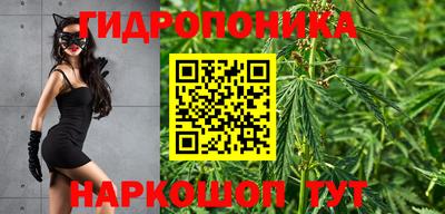ПСИЛОЦИБИНОВЫЕ ГРИБЫ Заводоуковск