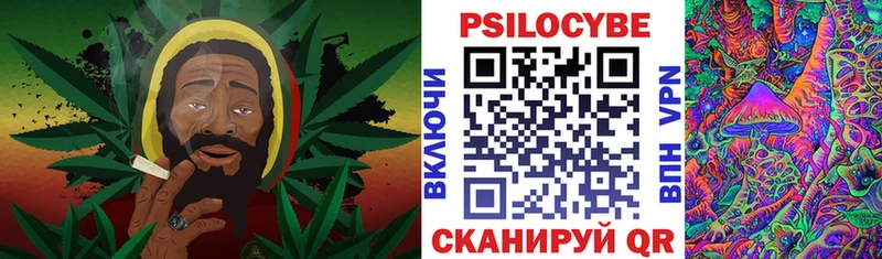 Псилоцибиновые грибы прущие грибы  Фрязино 