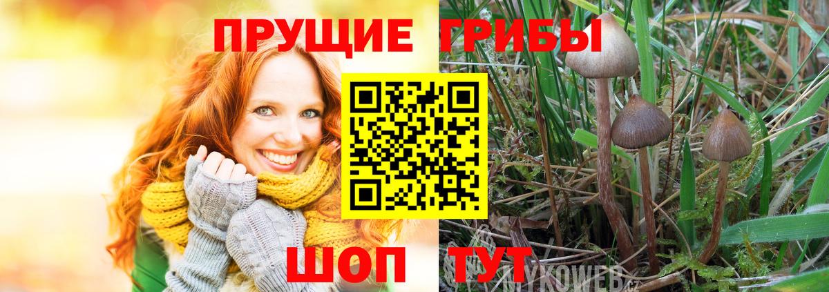 Псилоцибиновые грибы мухоморы Фрязино
