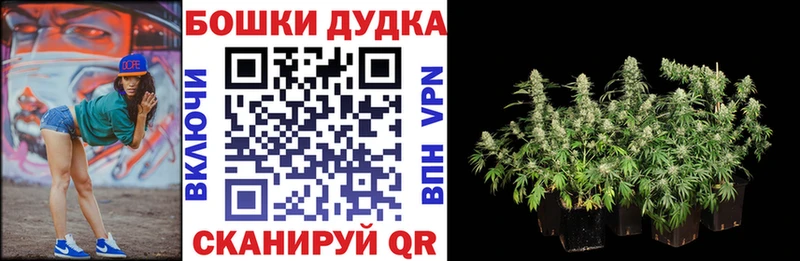 купить наркотик  Фрязино  МАРИХУАНА Ganja 